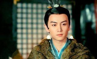 刘病已电视剧,从废帝到明君的逆袭之路